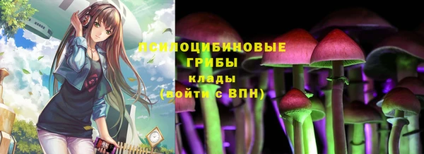 прущие крисы Медногорск
