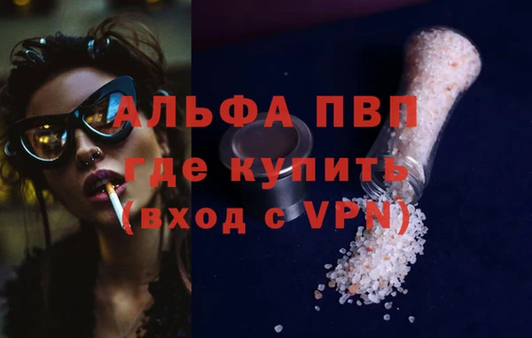крисы Алзамай