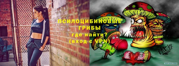 крисы Алзамай